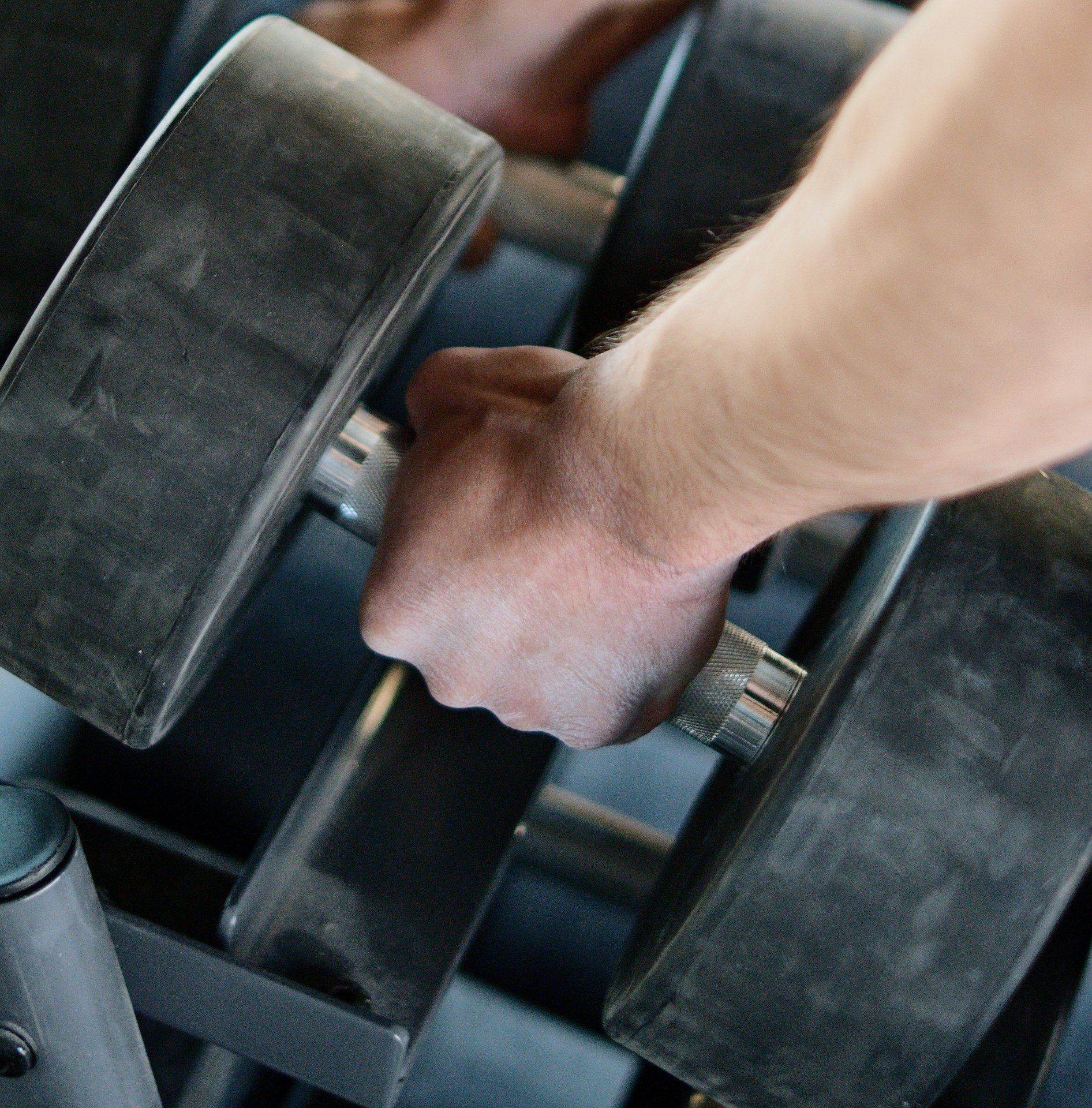 Featured image for Mountain Dog - Training Philosophy