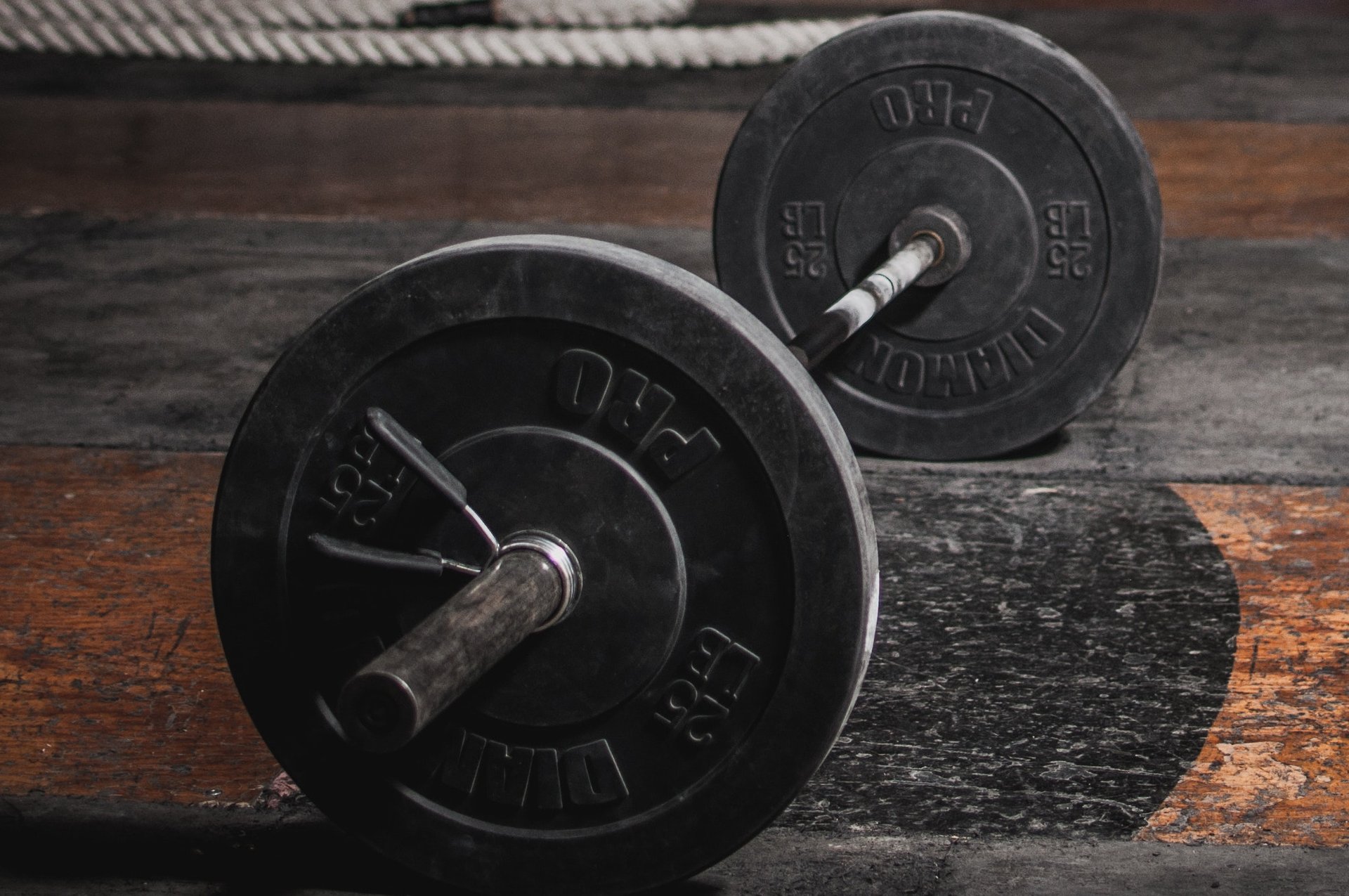 Featured image for Training Program - Phase 1: 2023-09-05